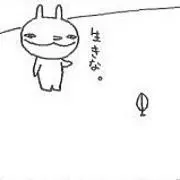 ピノコ