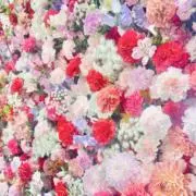 c.kの画像