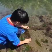 Image of ちか