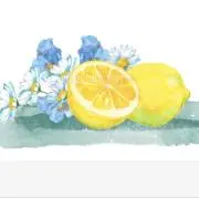 anncoの画像