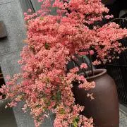 YUKIの画像