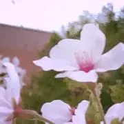 そるてぃ(プロフ確認お願い致します)