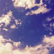 たま。
