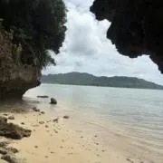 捨離はじめますの画像