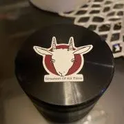yyyyyooooo
