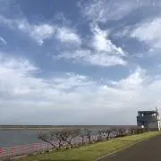 ま ❁⃘*.゜の画像