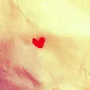 しいたけの画像
