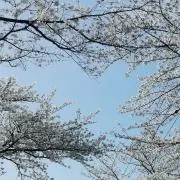 まーたんの画像