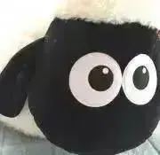 媛の画像