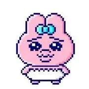 rの画像