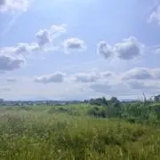 ゆず 〜プロフ必読〜