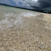 Namiの画像
