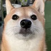 minocoの画像