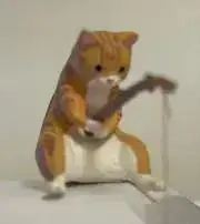 めだかの画像