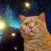 宇宙猫