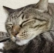 Tomoka0901の画像