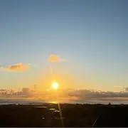 ねどの画像