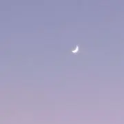 월/ウォル