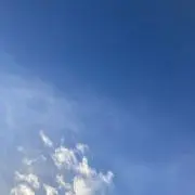 MOKの画像