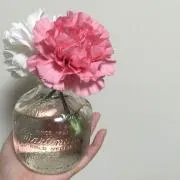 でんの画像