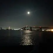 やぁの画像