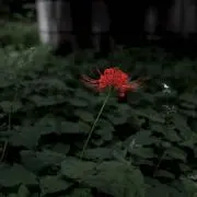 わわわ