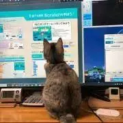 hittoeの画像