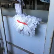 ▲7/1以降は発送、ご連絡遅くなります。の画像