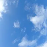 ponの画像