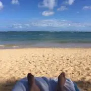 ムギの画像