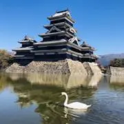Yuzukichiの画像