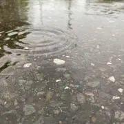いとの画像