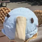tsuの画像