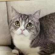 もちくん