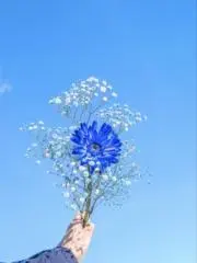kuriの画像