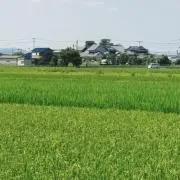 ♡Overgrown♡の画像