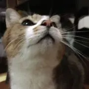 るん☆