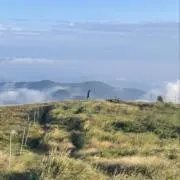 AA