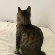 むむむ。