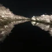 リのん