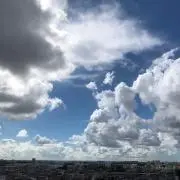 やぴちの画像