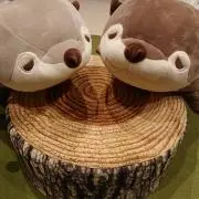でーでー