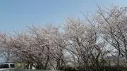 久留米だいすきの画像