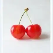 7/30-8/2発送できませんの画像