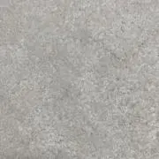 ゆきの画像