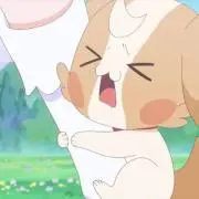む