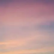 はるの画像