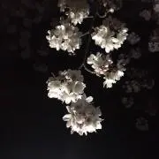 マンディー