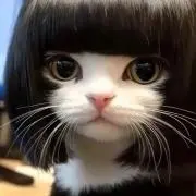 フォロワー様お値引き♡古ハウス♤の画像