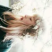 森